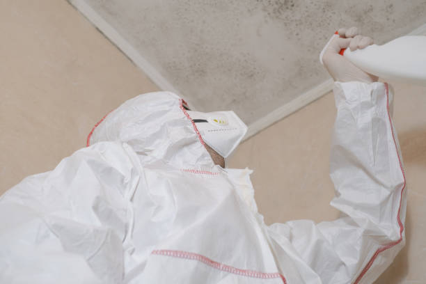 Best Emergency Mold Removal  in Bremerton, WA